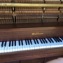 All Action Piano - Greg Stainthorp