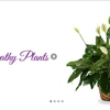 Funeral Flowers Delivery gallery