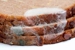 Franz Bakery Outlet - Bakeries