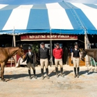 Reflecting Heaven Stables