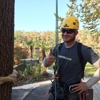 Jake's Tree Care gallery