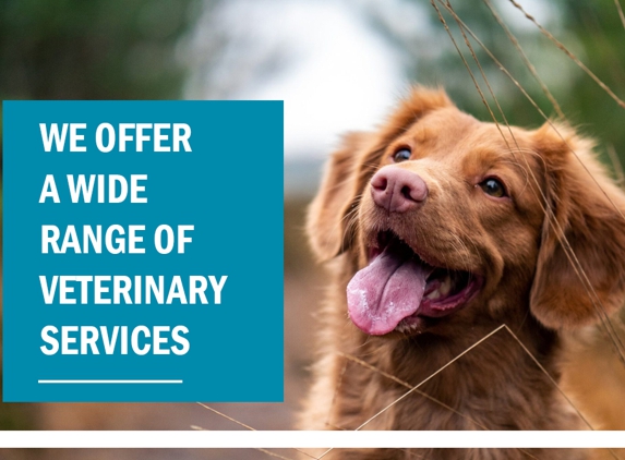 Hartley Valley Vets - Little Hartley, NSW. We Offer A Wide Range Of Veterinary Services