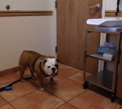 Sepulveda Animal Hospital - Culver City, CA