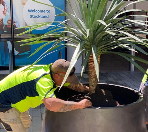 D&L Indoor Plant Hire & Garden Maintenance - Shell Cove, NSW