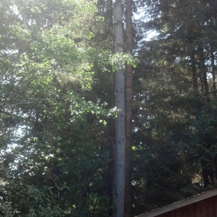 Cutting Edge Tree Service and Solutions - McKinleyville, CA