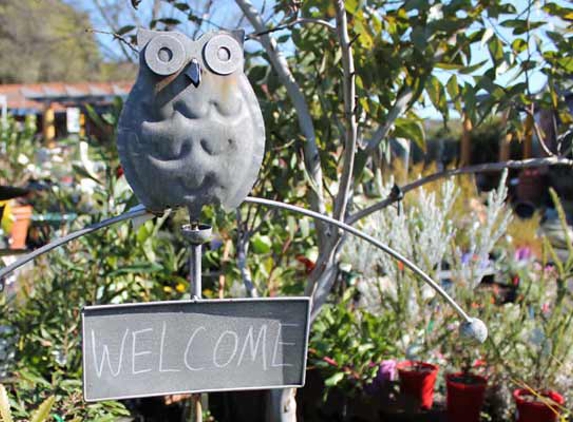 BEST Nursery - Inverell, NSW