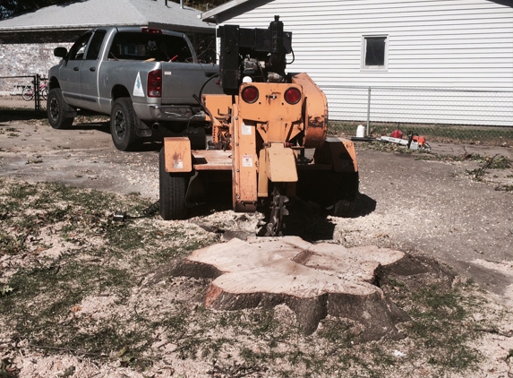 Tree Service Pros of Lincoln - Lincoln, NE