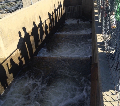 Nimbus Fish Hatchery - Rancho Cordova, CA