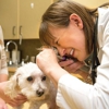 Haarstad Veterinary Dermatology gallery