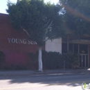 Young Sung USA - Automobile Parts, Supplies & Accessories-Wholesale & Manufacturers