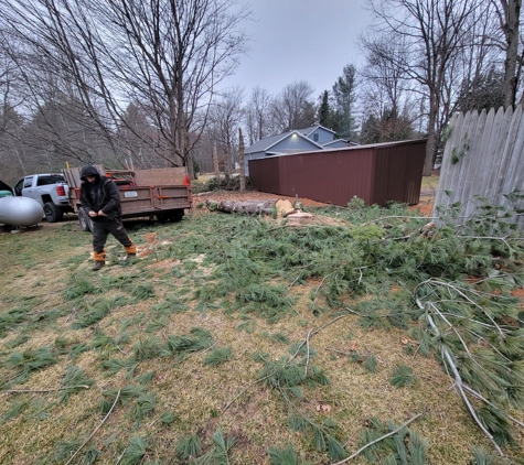 Affordable Tree Service - Sanford, MI