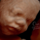 Over The Womb 4d Ultrasound & Photography