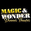 Magic & Wonder Theater gallery