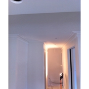 Gallery Image Number 5