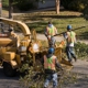 Best Tree Care