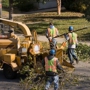 Best Tree Care