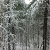 Beavers Bend Log Cabins gallery