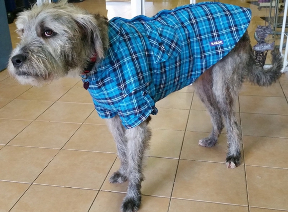 Leanne's Passion Pet Salon - Greystanes, NSW
