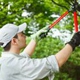 Bostwick Tree Service