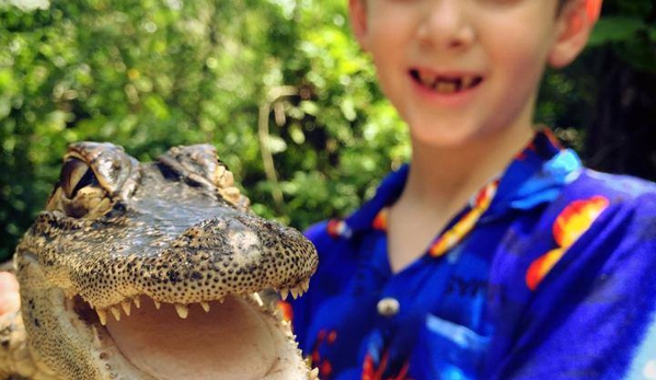 Everglades Safari Park - Miami, FL