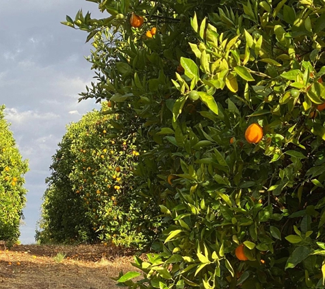 Sunzest The Organic Grower P/L - Somerton, VIC