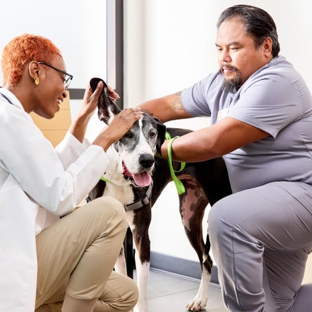 Banfield Pet Hospital - Clearwater, FL