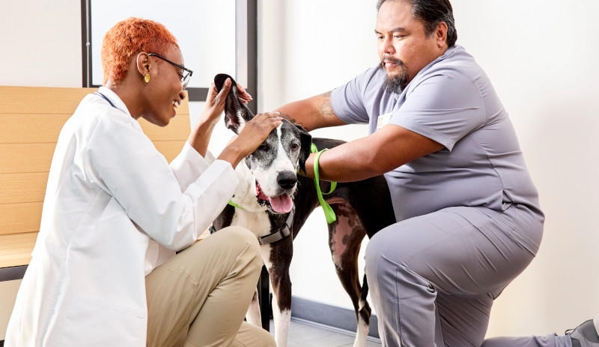 Banfield Pet Hospital - Houston, TX