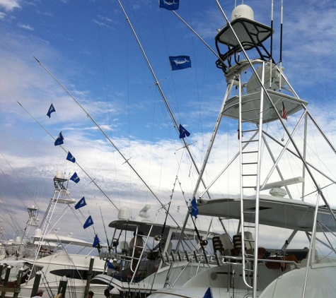 Pirates Cove Charter fishing - Manteo, NC