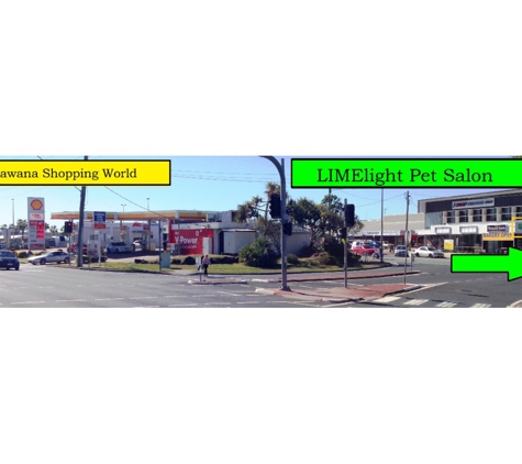 LIMElight Pet Salon - Buddina, QLD