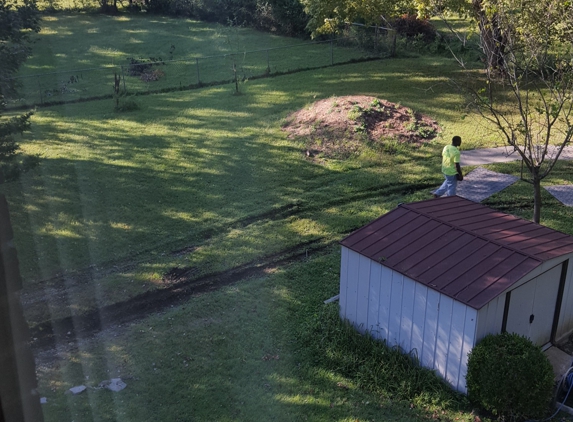 Quality Tree Services, LLC - Cape Girardeau, MO. They left big ruts in my yard