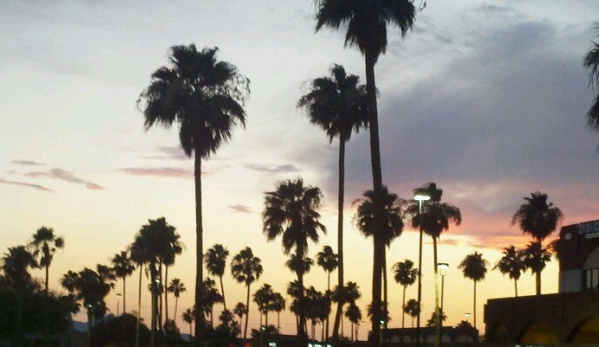 Outback Steakhouse - Tucson, AZ