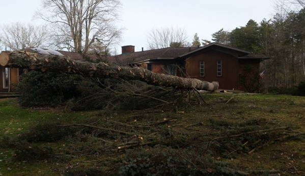 L&S Tree Service - Buffalo, NY