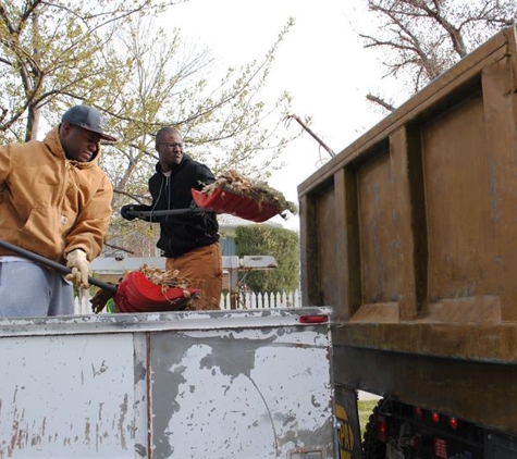 Bootlegger Dumpsters - lexington, KY