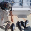 Stray Cat Charters - Fishing Guides