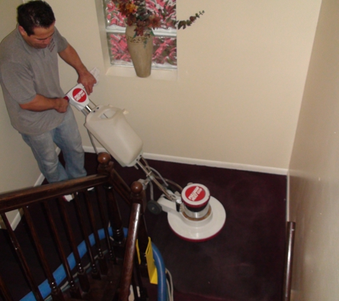 Carpet Wiser Carpet Cleaning - Elgin, IL. scrubbing my stairs