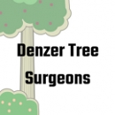 Denzer Tree Surgeons - Tree Service