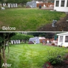 Hammond and Sons Lawn Care and Landscaping gallery