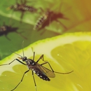 Echo Pest Control - Pest Control Equipment & Supplies