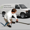 Carpet Cleaning Services of League City gallery