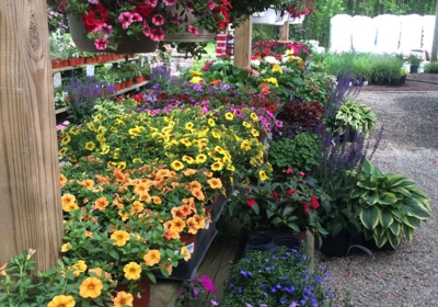 Mendham Garden Center 11 W Main St Mendham Nj 07945 Yp Com