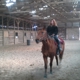 Double J Ranch Boarding Stable, Indoor Arena and Hobby Farm