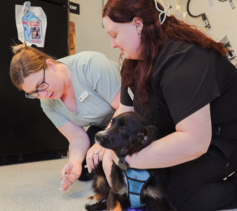 Dublin Veterinary Hospital - Perkasie, PA