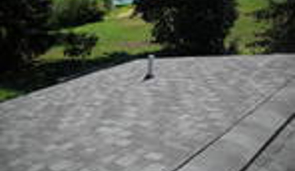 Bill's Roof Repair - Cassopolis, MI