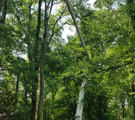 Rigsby and Son Tree Service - Joelton, TN