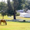 Graceland Mansion gallery