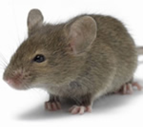 Interstate Pest Management - Portland, OR