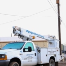 Nightlight Electric Company