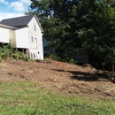 Arborcare Tree Service - Arborists