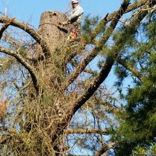 Horizon Professional Tree Management