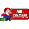 Mr. Plumber by Metzler & Hallam gallery